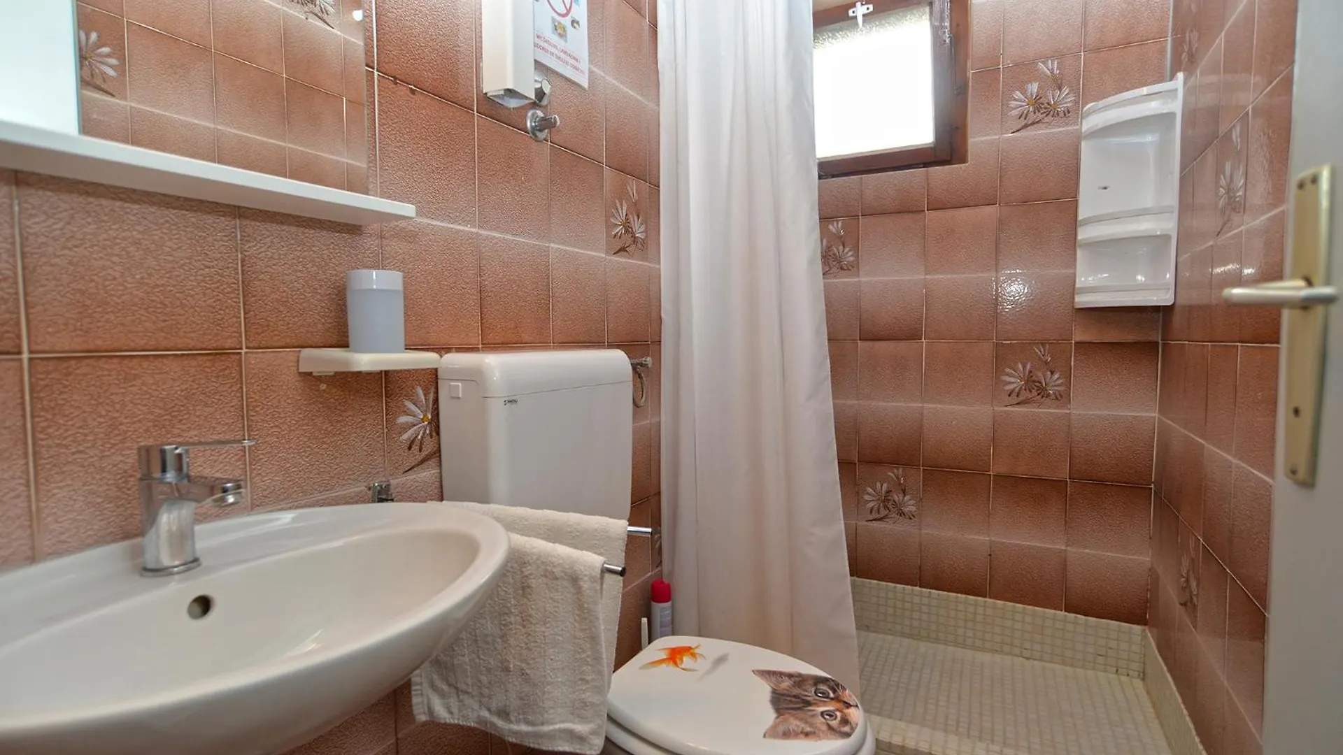 Apartment Brajdine 405 Medulin 0*,